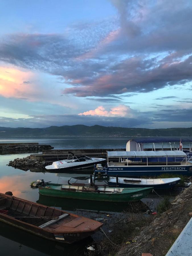 Soba Milojkovic Διαμέρισμα Golubac Εξωτερικό φωτογραφία