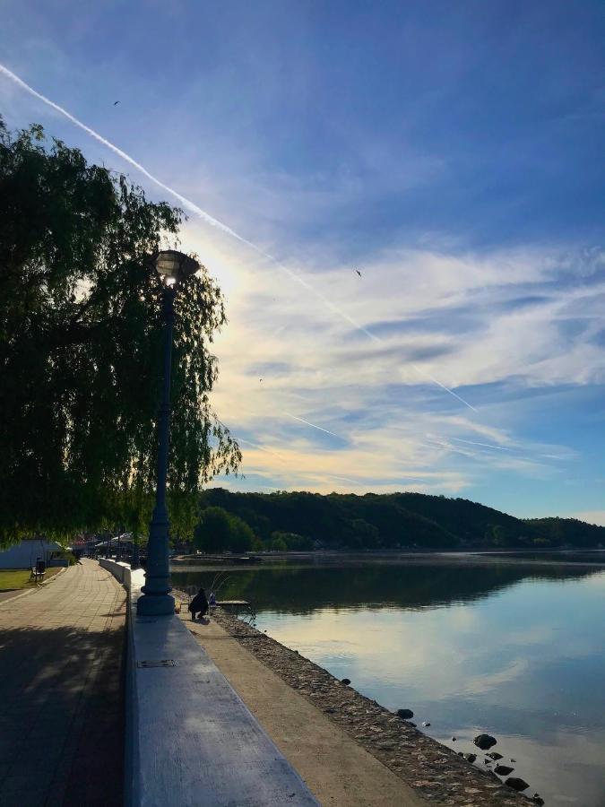 Soba Milojkovic Διαμέρισμα Golubac Εξωτερικό φωτογραφία