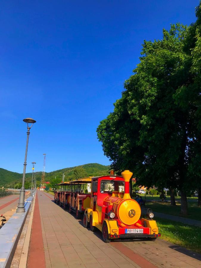 Soba Milojkovic Διαμέρισμα Golubac Εξωτερικό φωτογραφία